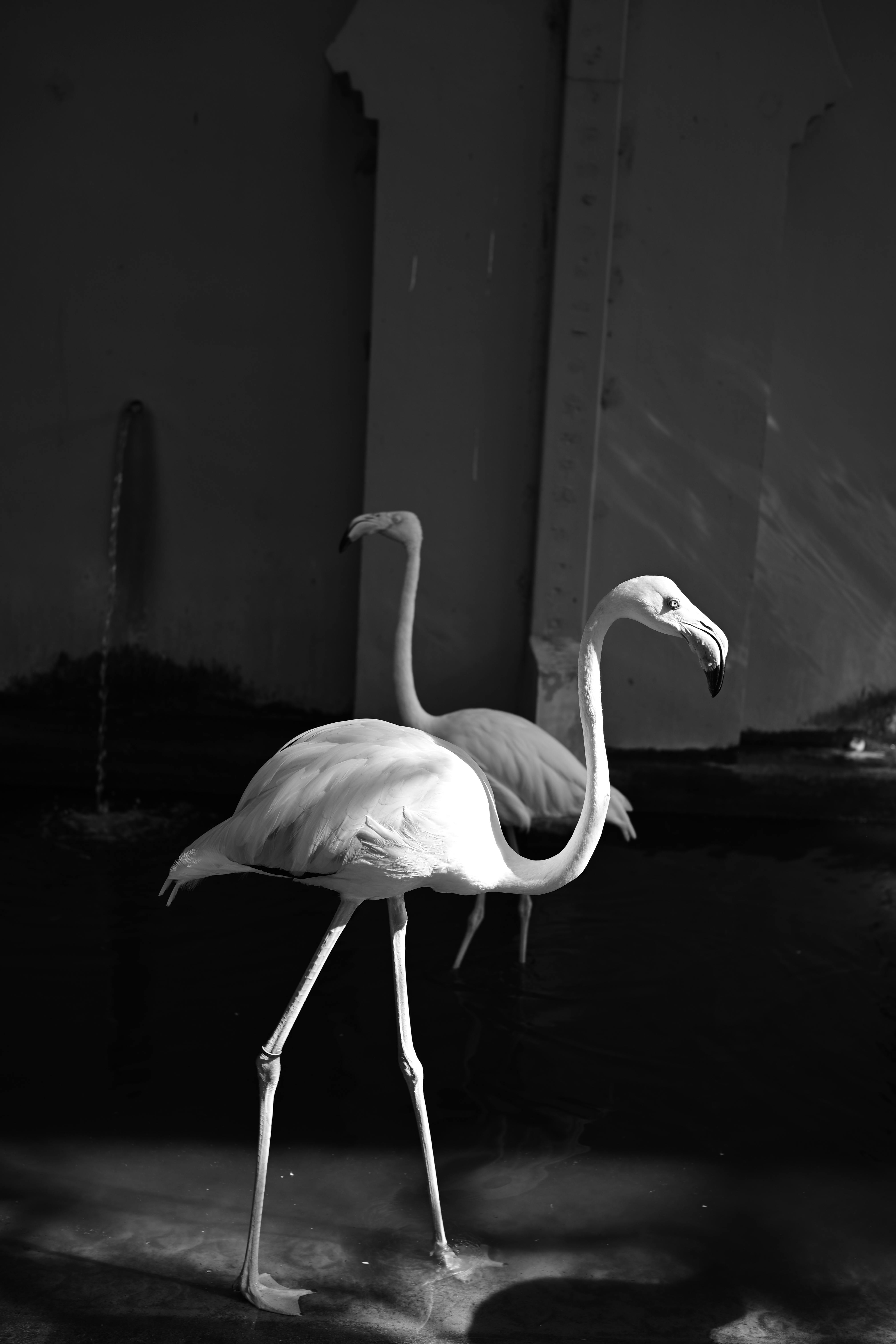 Video prodüksiyon hizmeti görseli